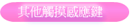 其他觸摸感應鍵
